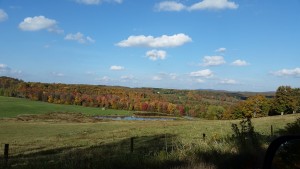 20151008_162413