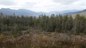 20151021_133528